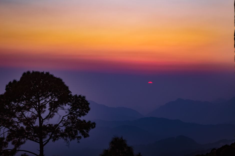 धनोल्टी उत्तराखंड | Best Place To Visit In Dhanaulti Hill Station In Hindi | 2024